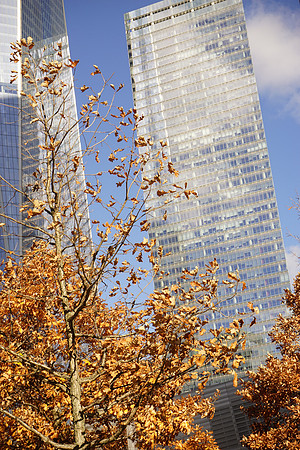 Manhattan