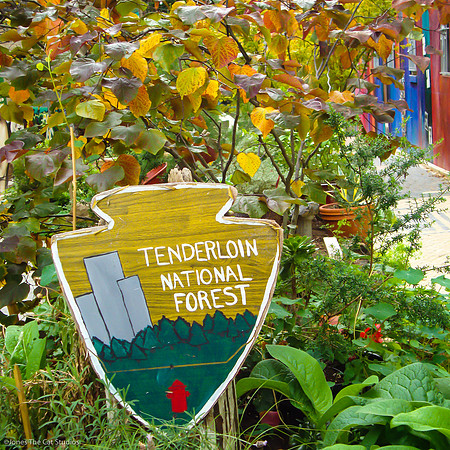 Tenderloin Garden