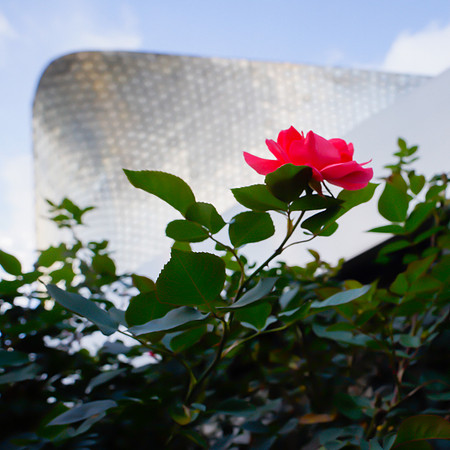 Soumaya
