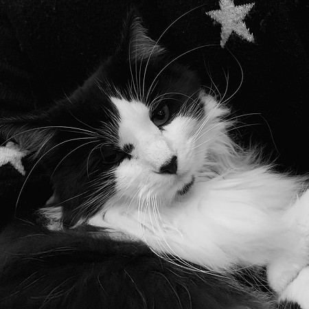 Star