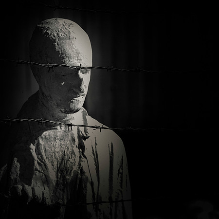 Prisoner of Opinion